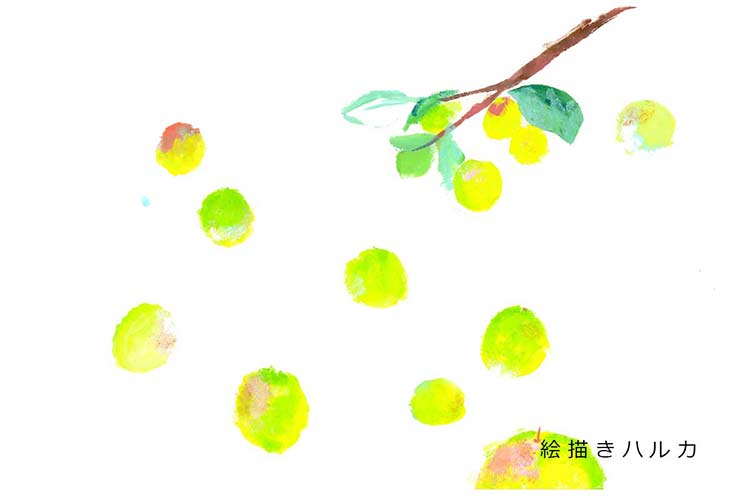 水無月のお気に入り